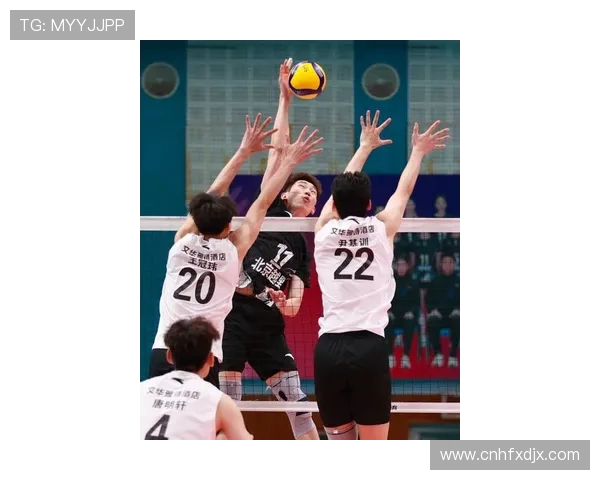 北京排球队进攻革新探索新战术提升整体实力与比赛表现