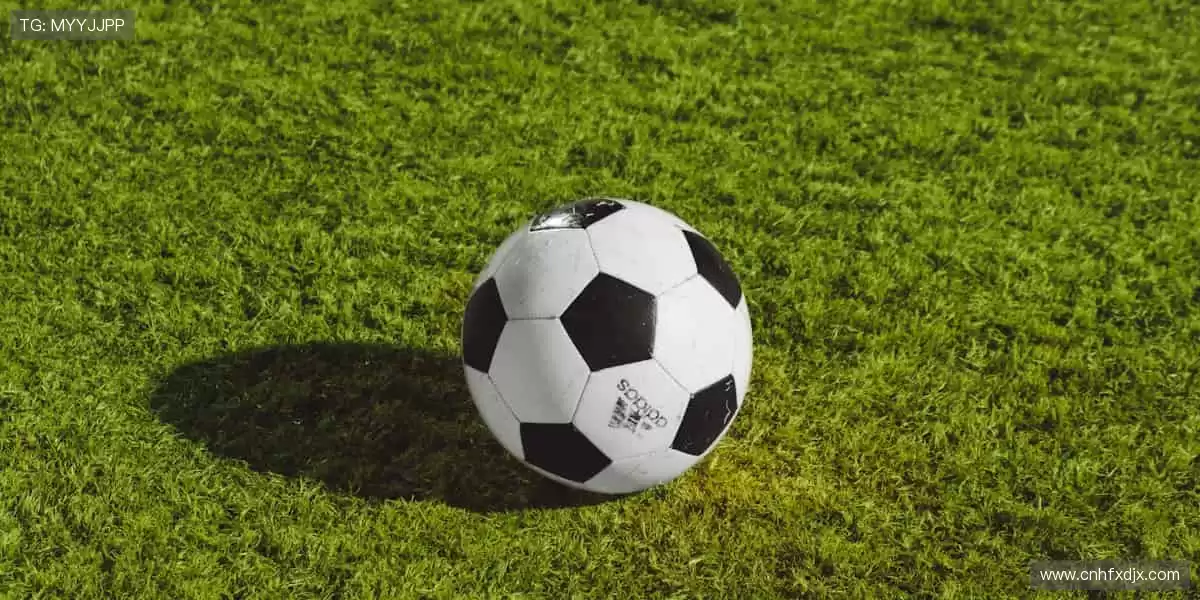 📱弹幕狂欢,实时互动!⚡️